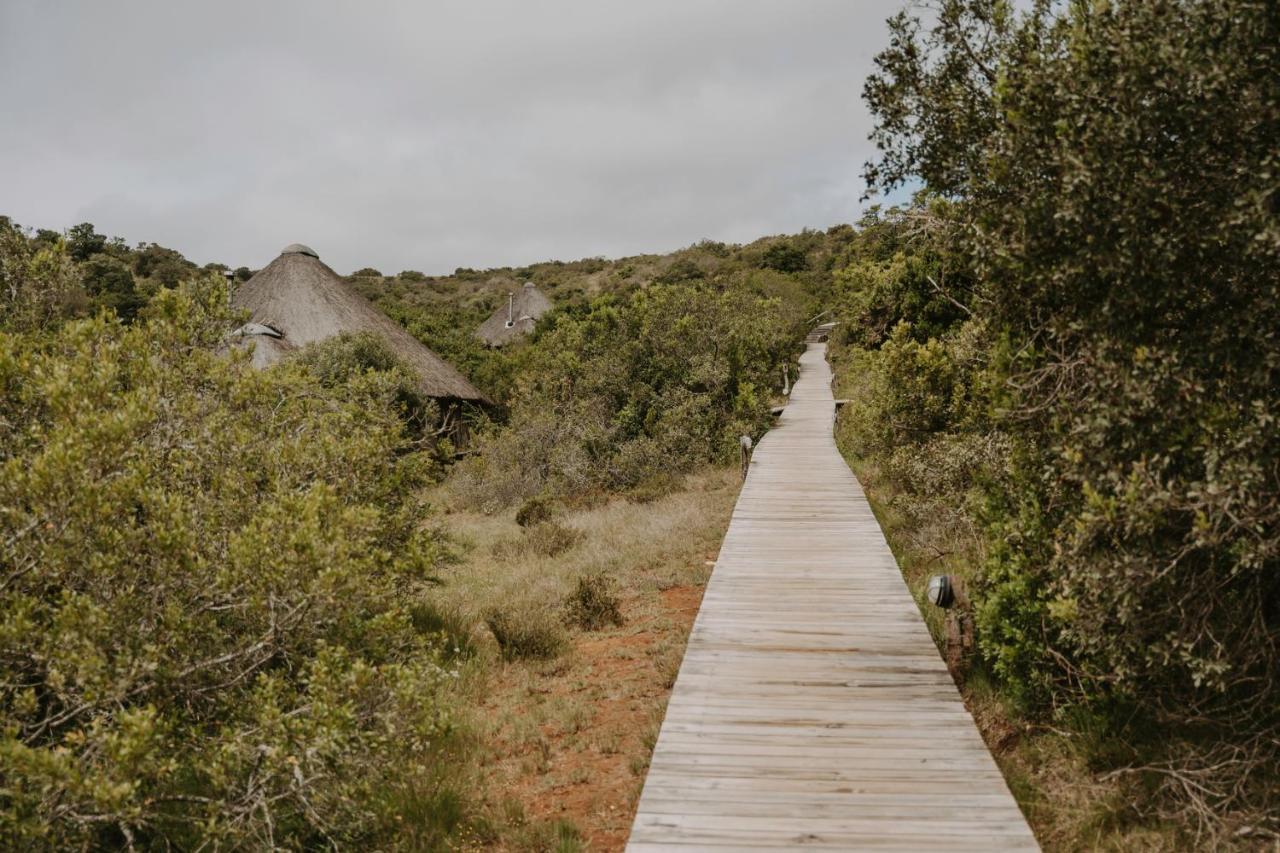 Bukela Game Lodge - Amakhala viltreservat Exteriör bild