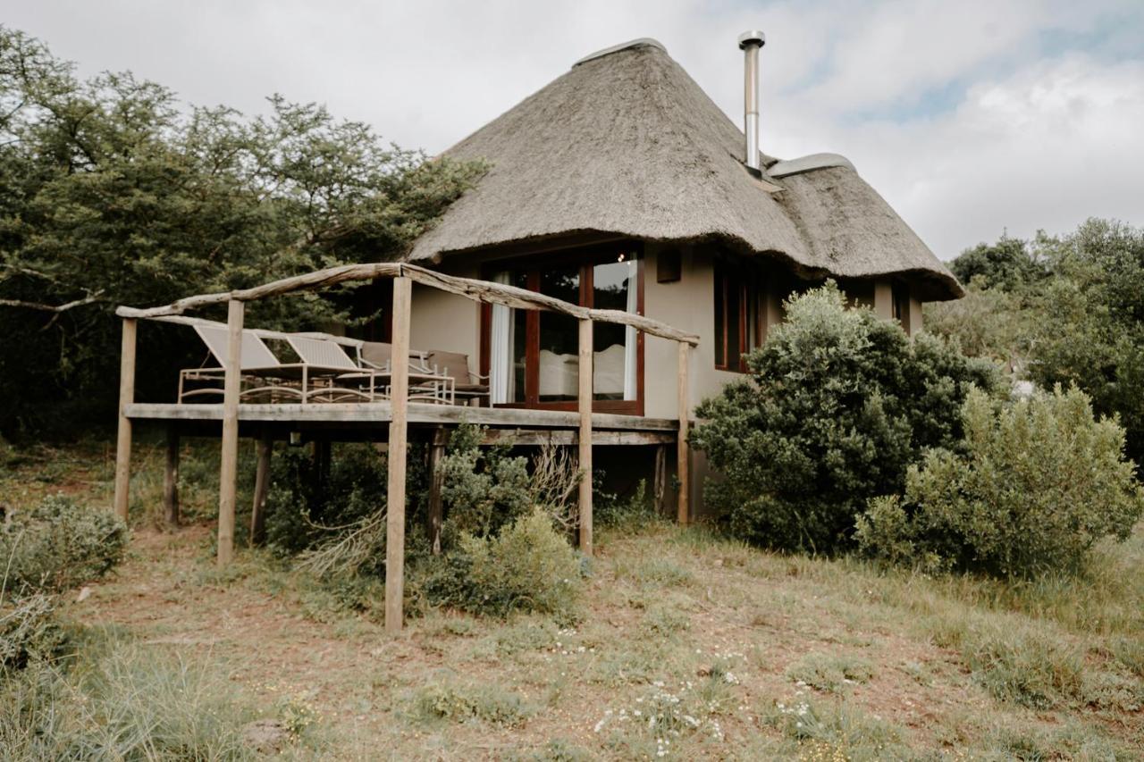 Bukela Game Lodge - Amakhala viltreservat Exteriör bild