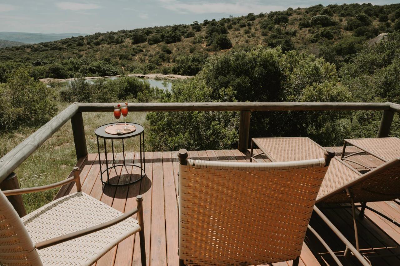 Bukela Game Lodge - Amakhala viltreservat Exteriör bild