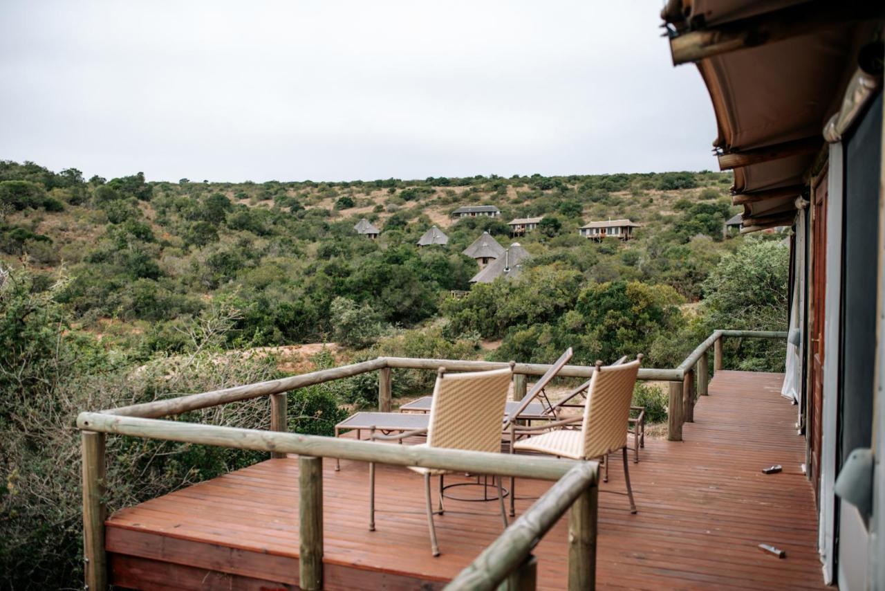 Bukela Game Lodge - Amakhala viltreservat Exteriör bild